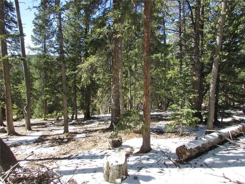 75 Pine Cone Way, Fairplay, CO 80440 photo 5