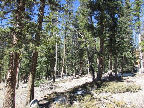 75 Pine Cone Way, Fairplay, CO 80440 photo 3