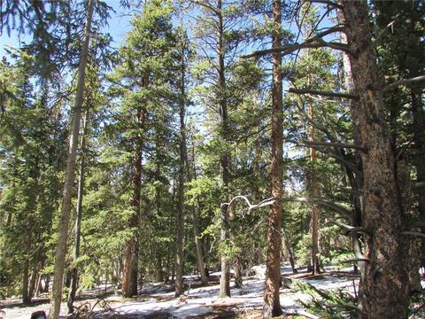 75 Pine Cone Way, Fairplay, CO 80440 photo 7