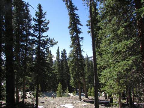 75 Pine Cone Way, Fairplay, CO 80440 photo 8