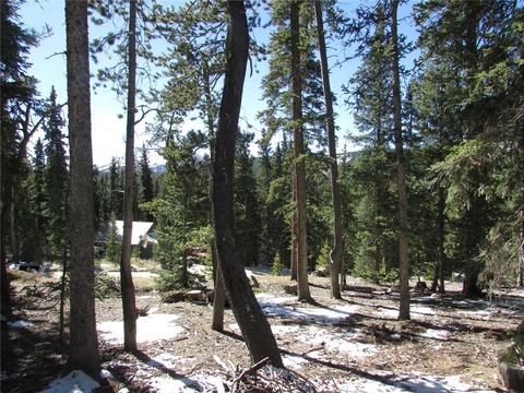 75 Pine Cone Way, Fairplay, CO 80440 photo 6