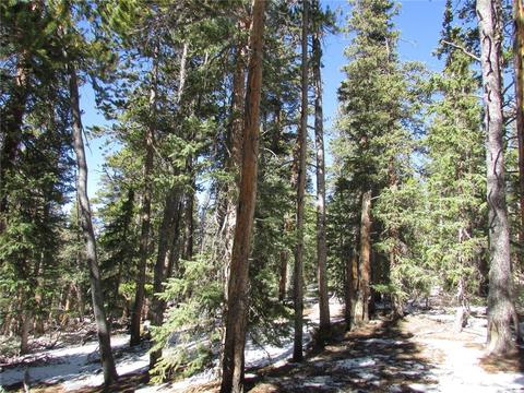 75 Pine Cone Way, Fairplay, CO 80440 photo 9