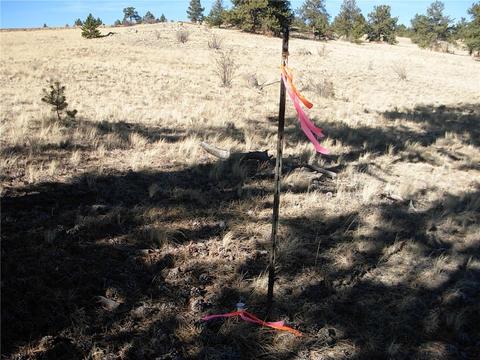 32 Sequoia Rd, Hartsel, CO 80449 photo 12