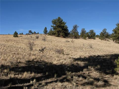 32 Sequoia Rd, Hartsel, CO 80449 photo 13