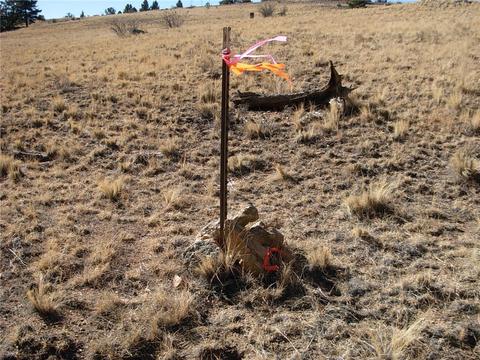 32 Sequoia Rd, Hartsel, CO 80449 photo 14