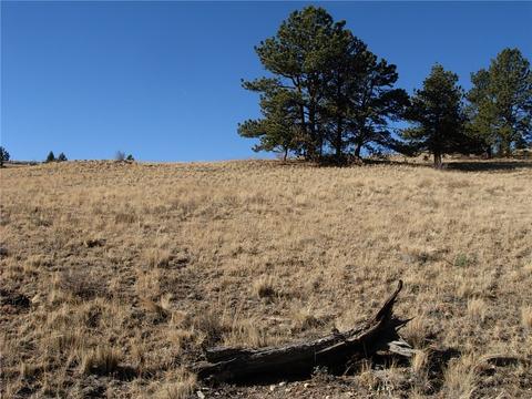 32 Sequoia Rd, Hartsel, CO 80449 photo 17