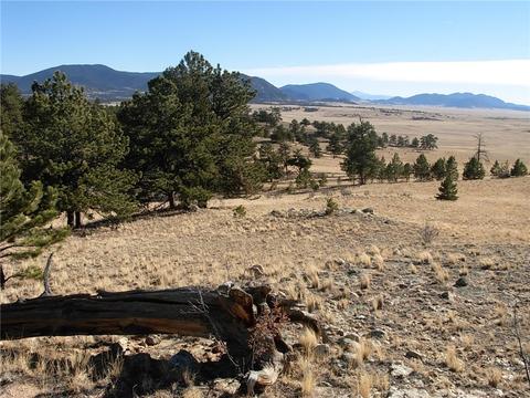 32 Sequoia Rd, Hartsel, CO 80449 photo 1
