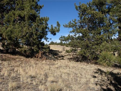32 Sequoia Rd, Hartsel, CO 80449 photo 21