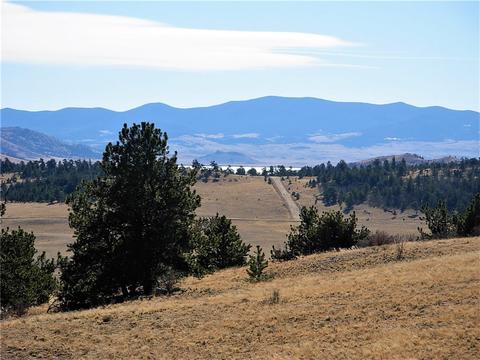 32 Sequoia Rd, Hartsel, CO 80449 photo 2
