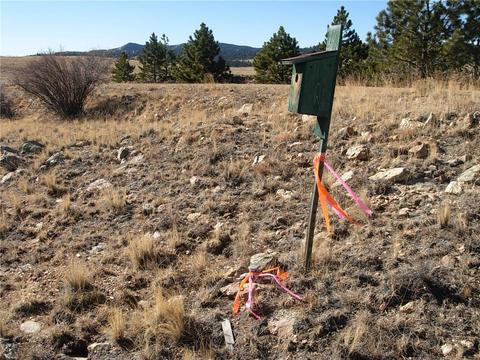 32 Sequoia Rd, Hartsel, CO 80449 photo 24