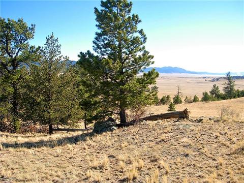 32 Sequoia Rd, Hartsel, CO 80449 photo 25