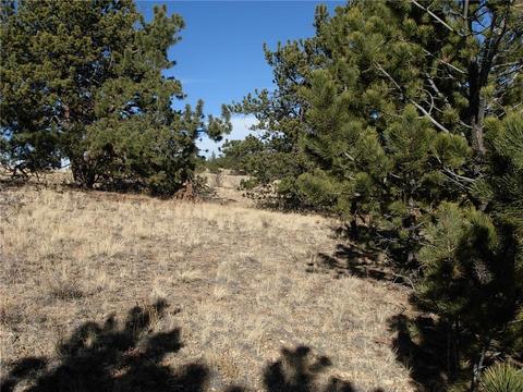 32 Sequoia Rd, Hartsel, CO 80449 photo 23