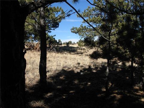 32 Sequoia Rd, Hartsel, CO 80449 photo 20