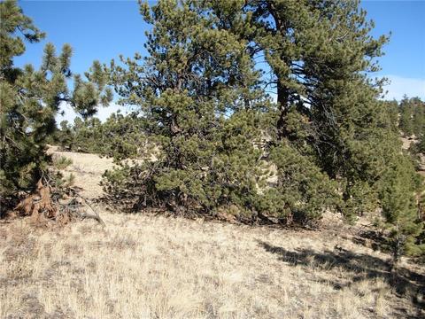 32 Sequoia Rd, Hartsel, CO 80449 photo 22