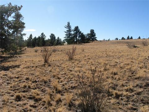 32 Sequoia Rd, Hartsel, CO 80449 photo 15