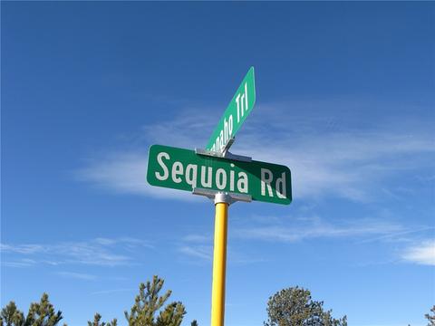32 Sequoia Rd, Hartsel, CO 80449 photo 10