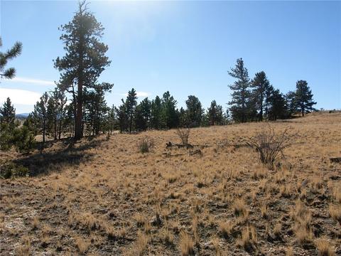32 Sequoia Rd, Hartsel, CO 80449 photo 18