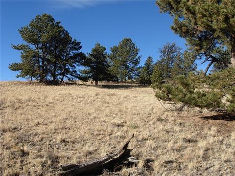 32 Sequoia Rd, Hartsel, CO 80449 photo 16