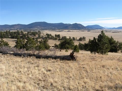 32 Sequoia Rd, Hartsel, CO 80449 photo 8
