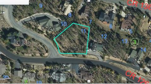 624 Idlewild Dr, Dillon, CO 80435 photo 10