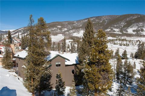 19 Sage Rd, Dillon, CO 80435 photo 25