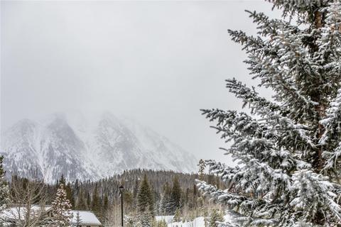 718 Eveningstar Rd, Silverthorne, CO 80498 photo 19