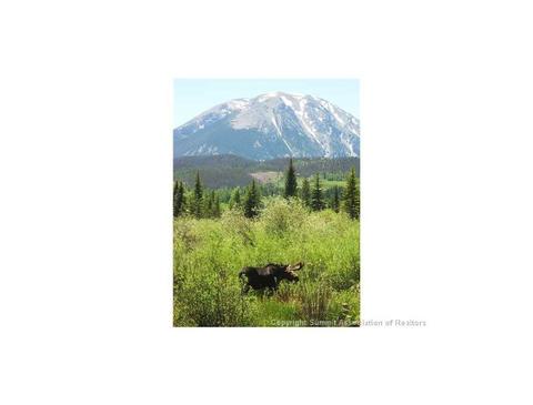 42 Mayfly Dr, Silverthorne, CO 80498 photo 29