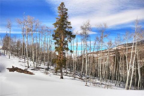 42 Mayfly Dr, Silverthorne, CO 80498 photo 2