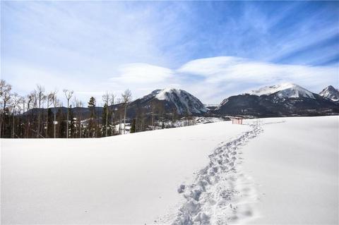 42 Mayfly Dr, Silverthorne, CO 80498 photo 3