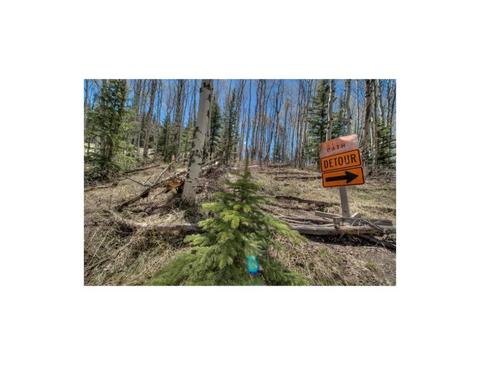 73 Mayfly Dr, Silverthorne, CO 80498 photo 2