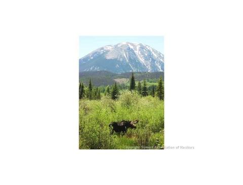 73 Mayfly Dr, Silverthorne, CO 80498 photo 7