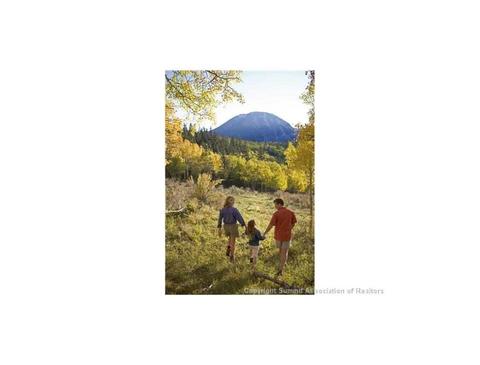 73 Mayfly Dr, Silverthorne, CO 80498 photo 5