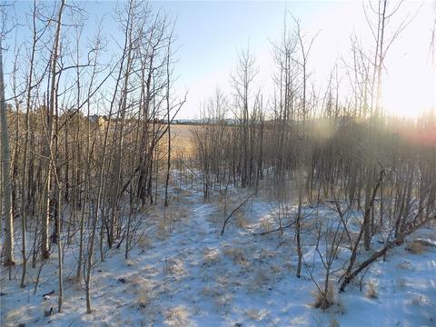 31 Knot Way, Como, CO 80432 photo 1