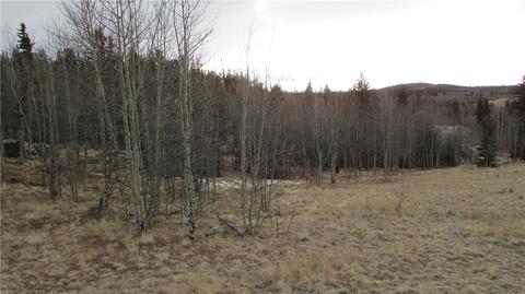 912 Haida Rd, Como, CO 80432 photo 1