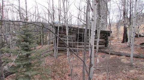 912 Haida Rd, Como, CO 80432 photo 3