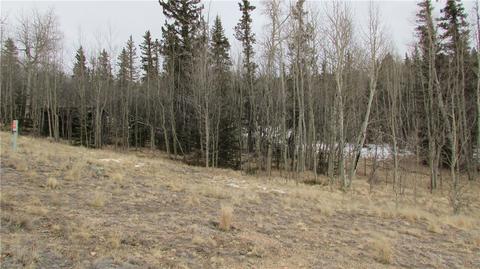 912 Haida Rd, Como, CO 80432 photo 2