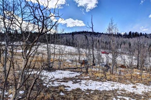 300 Mockingbird Cir, Como, CO 80432 photo 1