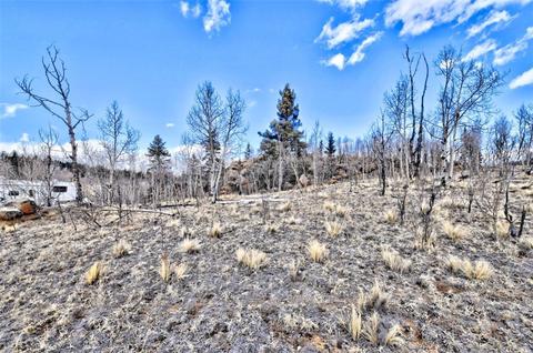 300 Mockingbird Cir, Como, CO 80432 photo 16