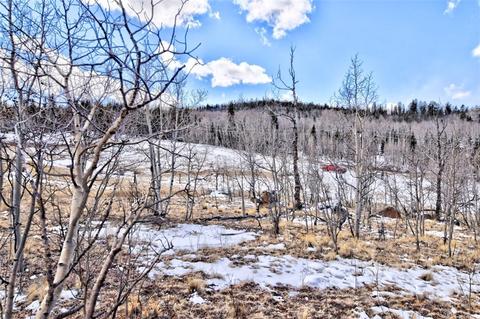 300 Mockingbird Cir, Como, CO 80432 photo 15