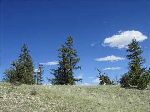 64 Carbine Rd, Como, CO 80432 photo 6