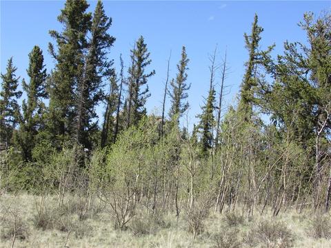 64 Carbine Rd, Como, CO 80432 photo 7