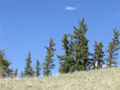 64 Carbine Rd, Como, CO 80432 photo 2