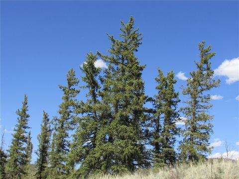 64 Carbine Rd, Como, CO 80432 photo 8