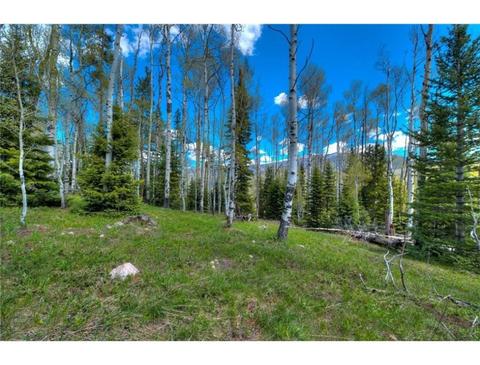66 Garnet Rd, Silverthorne, CO 80498 photo 3