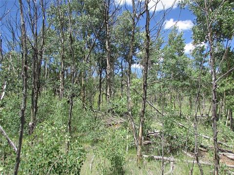 75 Osprey Rd, Como, CO 80432 photo 3