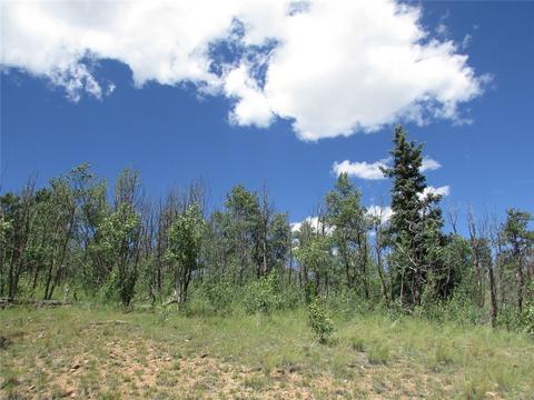 75 Osprey Rd, Como, CO 80432 photo 2