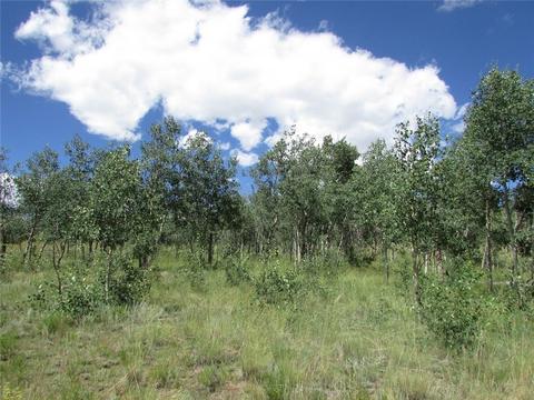 75 Osprey Rd, Como, CO 80432 photo 6