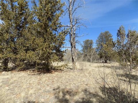 1445 Wampum Ln, Como, CO 80432 photo 3