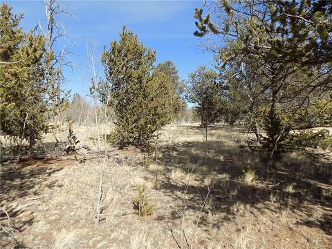1445 Wampum Ln, Como, CO 80432 photo 1