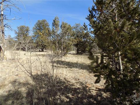 1445 Wampum Ln, Como, CO 80432 photo 4
